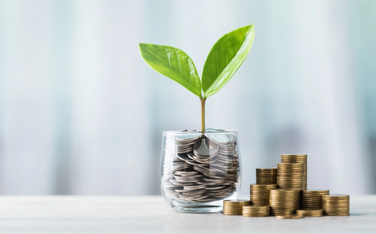 Plant growing from coins in glass